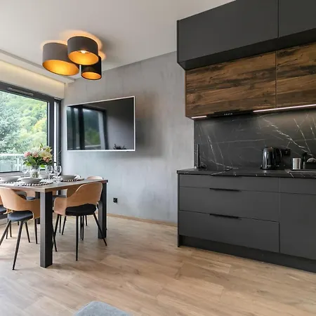 Kalinowa Z Sauna I Bawialnia - Dream Apartment Szczyrk